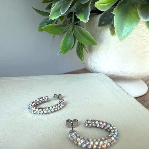 Siver Crystal Rhinestones extremely sparkly hoop earrings The Danbury Mint
